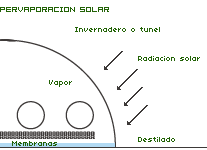 pervaporación solar