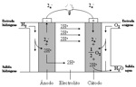 Diagrama del funcionamiento de una pila de combustible.