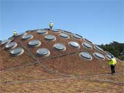 Edificio bioclimático: techo vegetal con tragaluces
