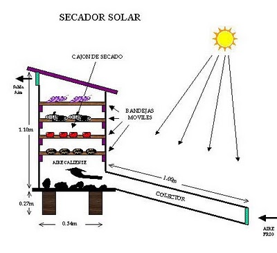 Secador solar