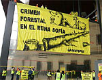 Greenpeace denuncia uso de maderal ilegal del Amazonas en la ampliación del Reina Sofía