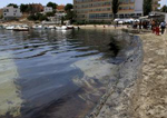 Restos de combustible en las playas de Ibiza
