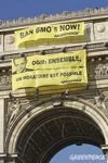 Activistas de Greenpeace en París