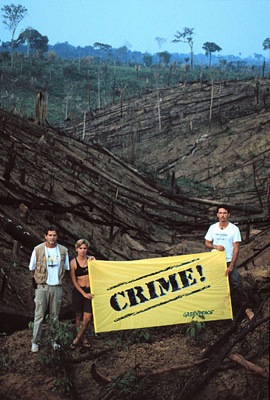 Área destruida en el estado de Para en la Amazonia, Brasil.