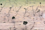 Imagen de la deforestación sufrida por la selva amazónica en la región de Pará (Brasil).