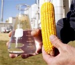 El etanol se puede producir a partir del maíz.