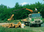 Obtención de biomasa forestal.