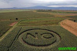 Con un "NO" espectacular, de 60 metros de diámetro dibujado en un campo de maíz del Estado de México, Greenpeace dice NO a los transgénicos.