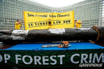 Greenpeace coloca un gran tronco de 12 metros de alto en la puerta de la sede de la Comisión Europea, en Bruselas. El tronco, de madera de tahuarí procede de una zona ilegalmente deforestada en la Amazonia.