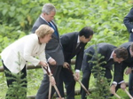 Aunque con muy poca habilidad, los líderes del G8 trataron de plantar juntos un árbol como símbolo de preocupación conjunta por el medio ambiente