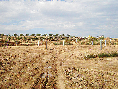 industria solar en el campo